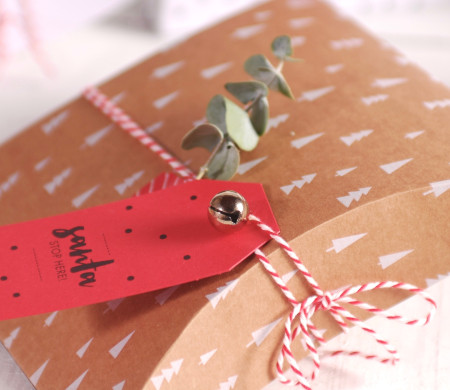 Decorated Christmas Gift Box 