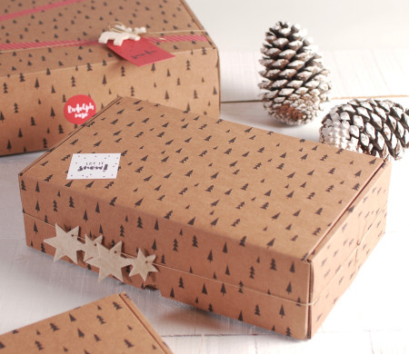 Boîte de Noël à Assembler Soi-Même