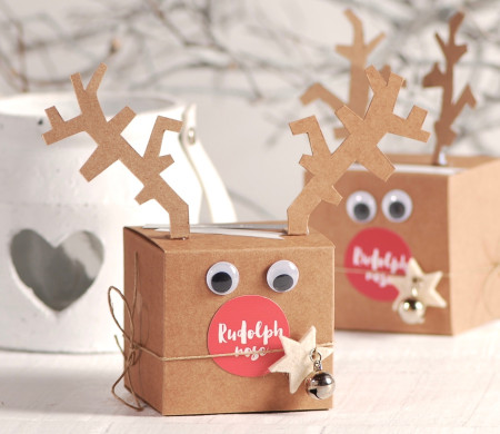 Boîte de Rudolf pour Noël 