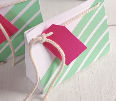 Bolsa para Pequeños Regalos | Packaging Decorado | SelfPackaging