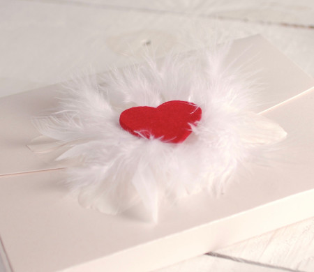 Boîte avec un Cœur et des Plumes. Un Idée Pleine d'Amour