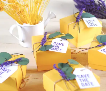 Caja ''Save the date''