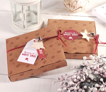 Caja Impresa para Navidad | Packaging Navideño | SelfPackaging