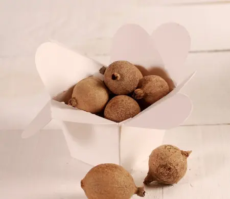 Box for organic gifts