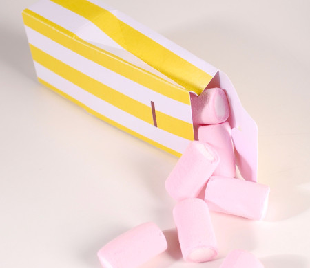 Bag Shaped Cardboard Box | SelfPackaging