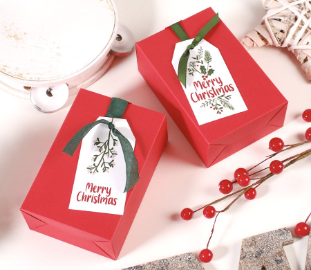 Christmas gift box with ribbon