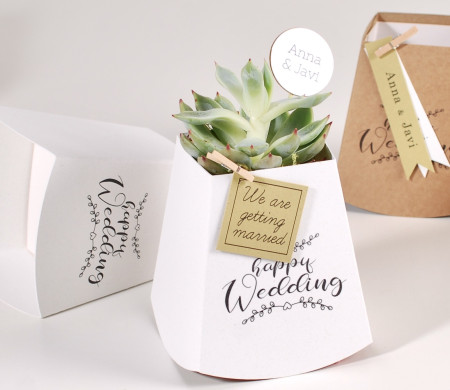 Cardboard plant pot