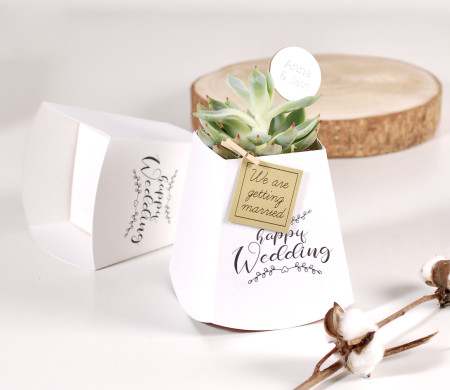 Cardboard plant pot