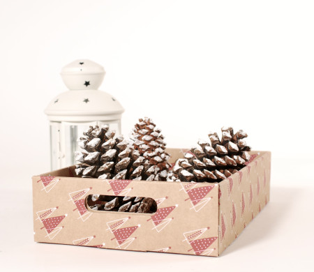 Weihnachtskarton für Geschenkverpackungen