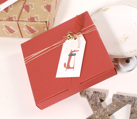 Packaging navideño para joyas Packaging navideño para joyas