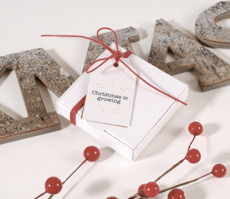 Billige Schachtel Mit Weihnachtsdekor... | SelfPackaging
