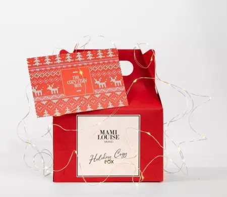 Caja picnic navideña