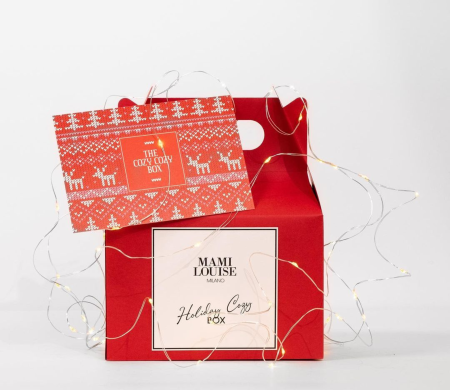 Christmas cardboard picnic box