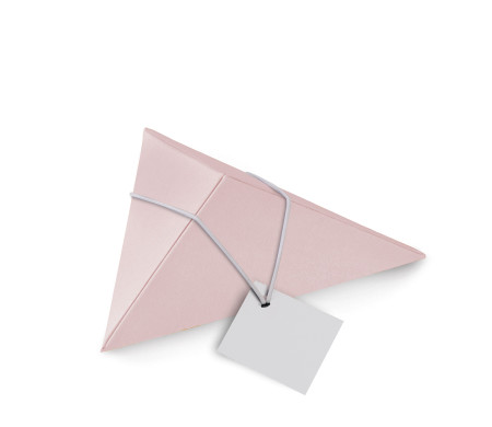 Caja Triangular de Cartón