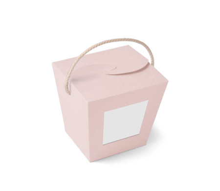 Chinese Noodle Box