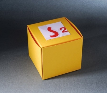 Quadratische kleine Schachtel für Geschäftsgeschenke