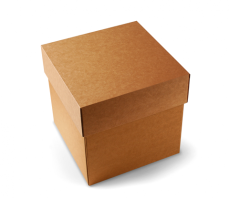 Shipping boxes with lid