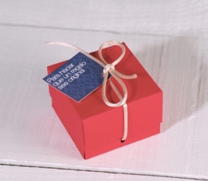 Square gift box with ribbon