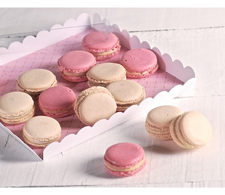 Caja para Galletas con Tapa Transparente Caja para Galletas con Tapa Transparente