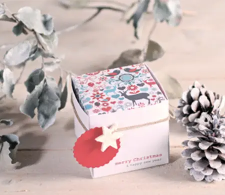 Custom Christmas Box