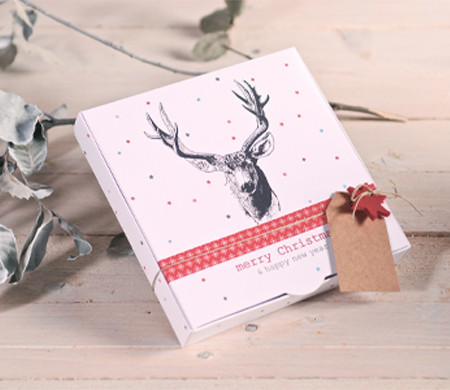 Gift box with reindeer sketch