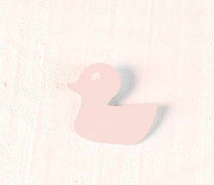 Cardboard Ducks 10 ut.