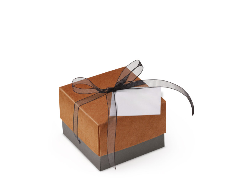 Bonita Caja Regalo con Tapa y Lazo Decorativo Bonita Caja Regalo con Tapa y Lazo Decorativo