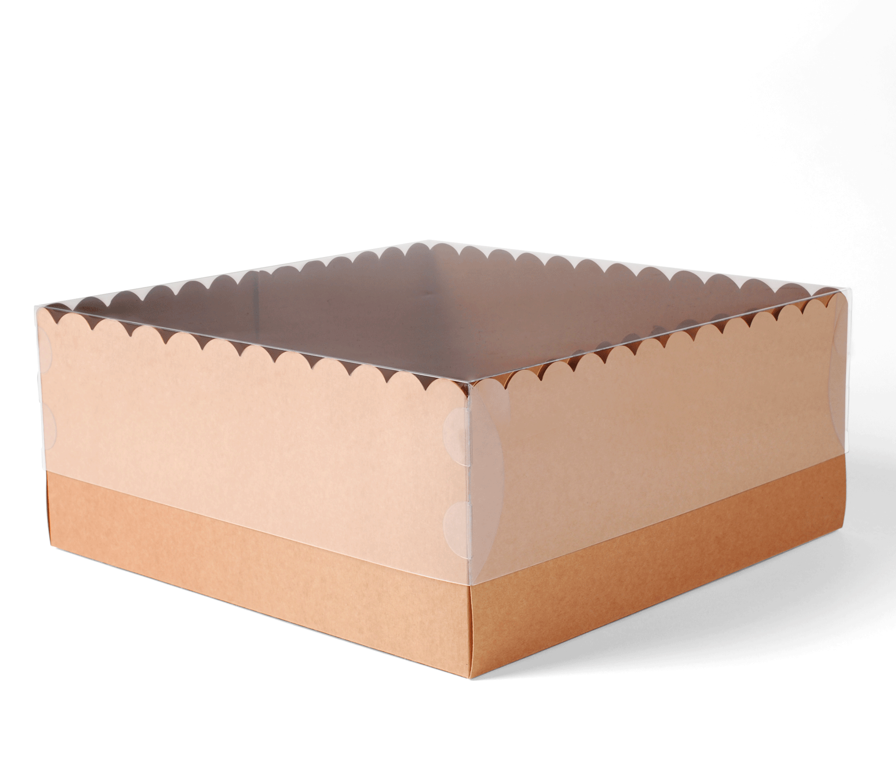 confezione da 10 pezzi 10 scatole rettangolari trasparenti per cupcake pasticceria cupcake piccole scatole da imballaggio per macaron con 10 adesivi per scatole per torte feste per Natale 