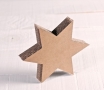 Little Cardboard Star