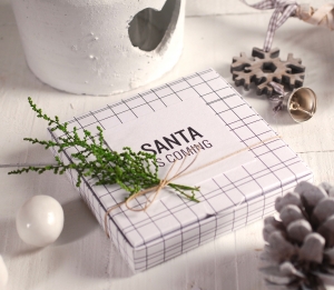 Scatola Piatta Santa is Coming