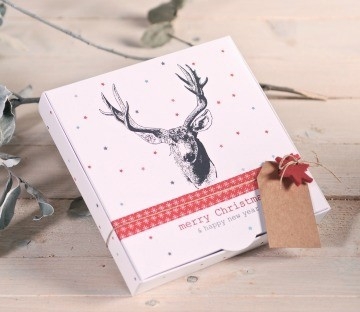 Gift box with reindeer sketch
