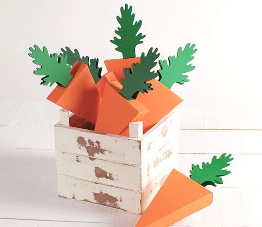 Carrot box  