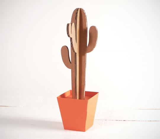 Cactus alto con maceta de colores 