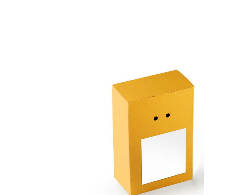 Caja Regalo de Cartón con Un Cierre Muy Original Caja Regalo de Cartón con Un Cierre Muy Original