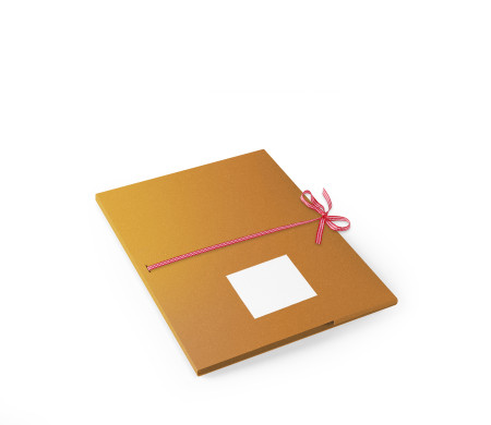 Carpeta de Cartón para Entregar Fotos y CDs