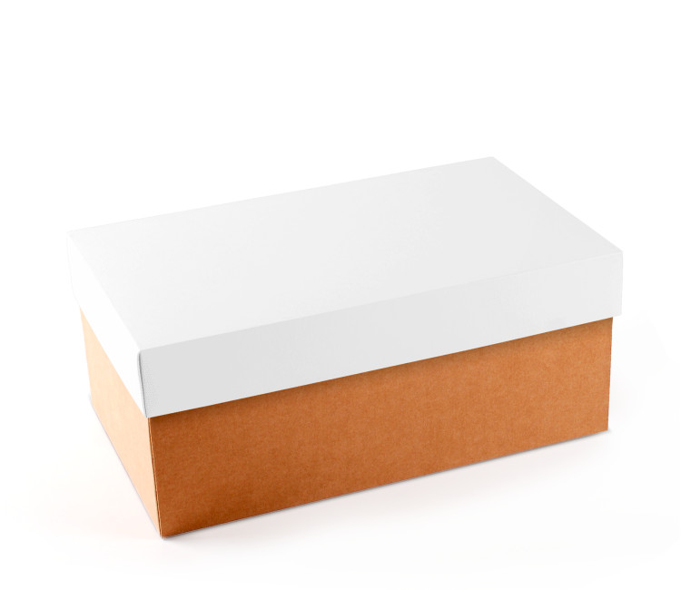 Caja para Zapatos ¡Organiza tu Calzado! Caja para Zapatos ¡Organiza tu Calzado!