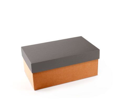Caja para Zapatos ¡Organiza tu Calzado!