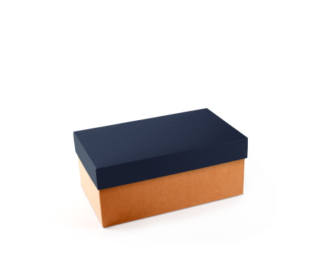 Caja para Zapatos ¡Organiza tu Calzado!