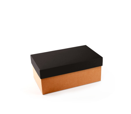 Caja para Zapatos ¡Organiza tu Calzado!