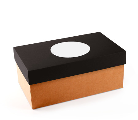 Caja para Zapatos ¡Organiza tu Calzado!