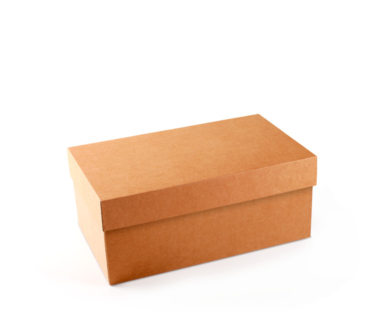 Caja para Zapatos ¡Organiza tu Calzado!