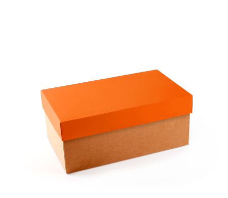 Caja para Zapatos ¡Organiza tu Calzado!