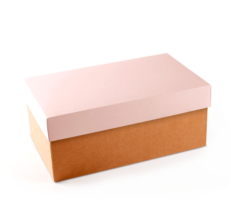 Caja para Zapatos ¡Organiza tu Calzado!
