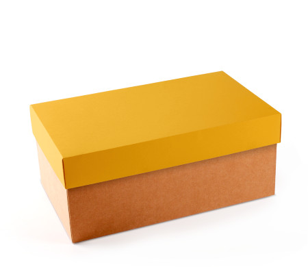 Caja para Zapatos ¡Organiza tu Calzado!