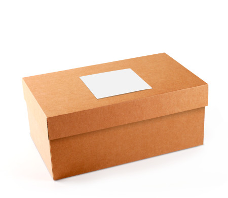 Caja para Zapatos ¡Organiza tu Calzado!