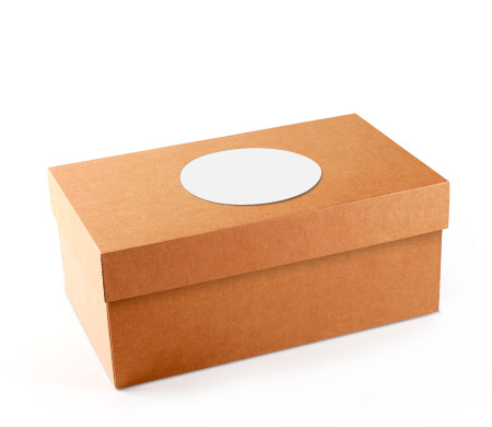 Caja para Zapatos ¡Organiza tu Calzado!