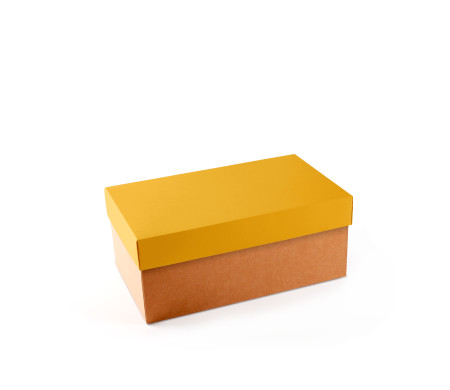 Boîte à Chaussures