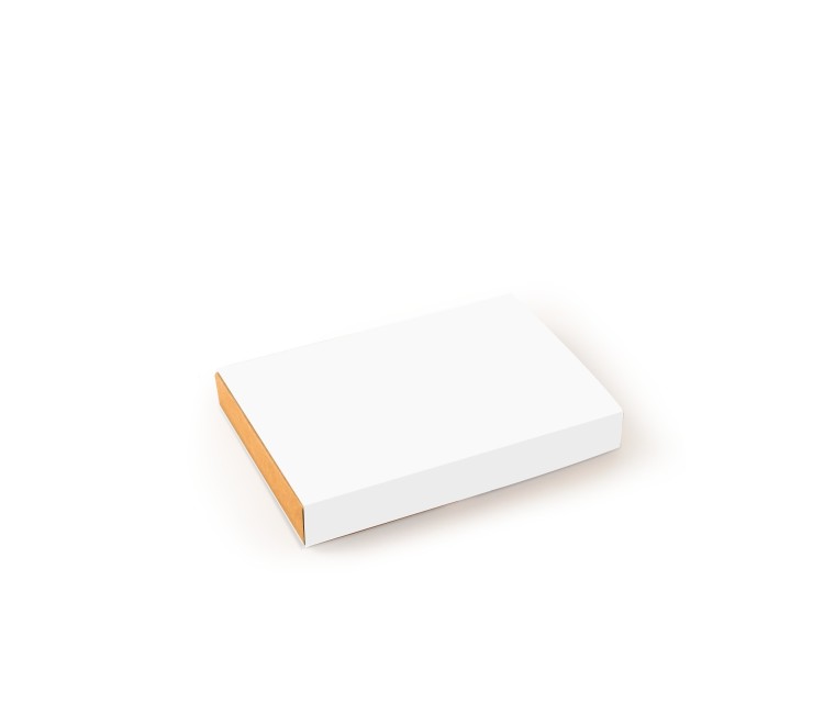 Flat delivery box for postal service deliveries. Flat delivery box for postal service deliveries.