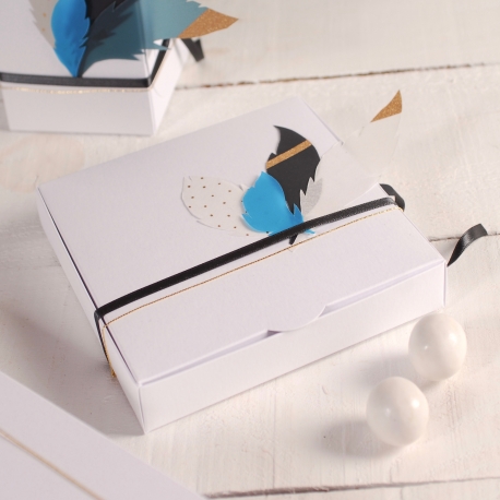 Gift box with feathers