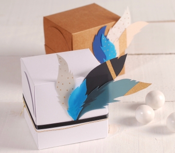 Caja de regalo cuadrada con plumas